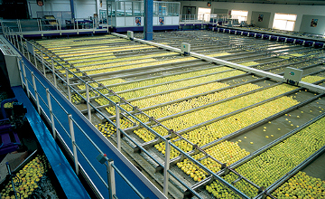 Linee Unisorting lavorazione mele 4