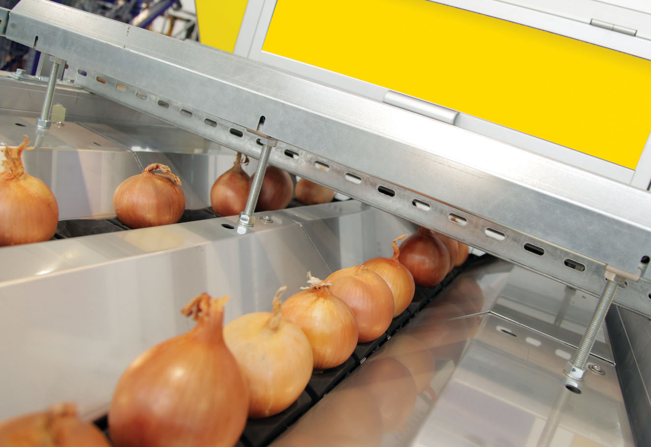 onions calibration system