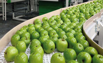 apples waxing